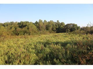 Tract 3 - Stillwater, OK farmland - EXCITING LAND AUCTION! - 128 +/- ACRES OFFERED IN 7 TRACTS OFF HIGHWAY 51 IN STILLWATER, OKLAHOMA